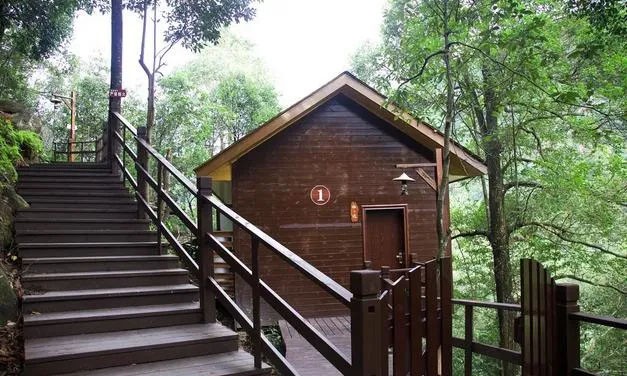 柬埔寨刘阳,大茅山森林深处的木屋