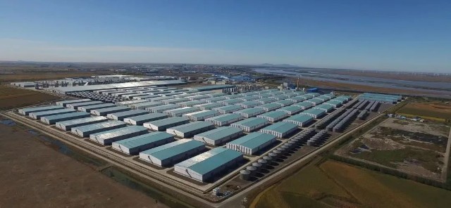 象屿农产种一粒数智种圆万千禾下梦