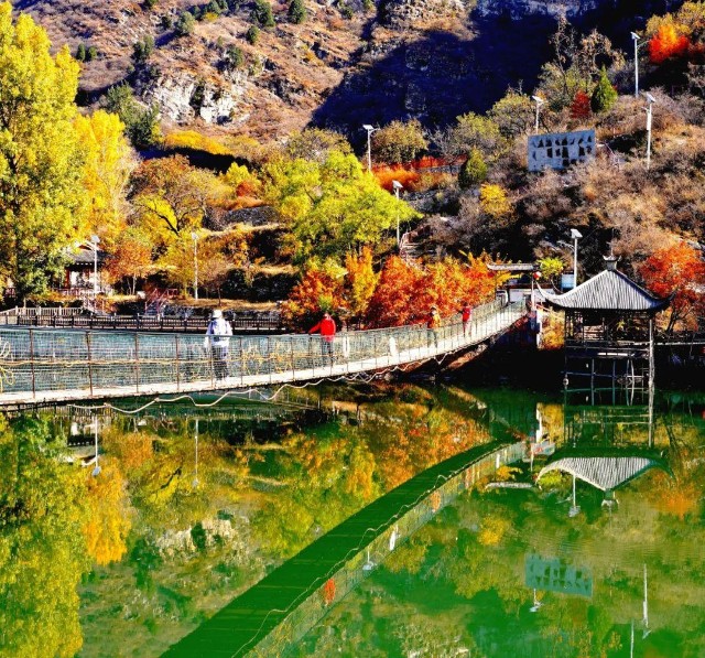 的觀光好時節,每逢週末驅車趕向房山霞雲嶺鄉遊玩的遊客就絡繹不絕