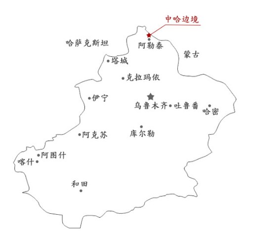 新疆阿勒泰大尾羊生活在中哈边境有机牧场,在这块冰川雪水自然灌溉的