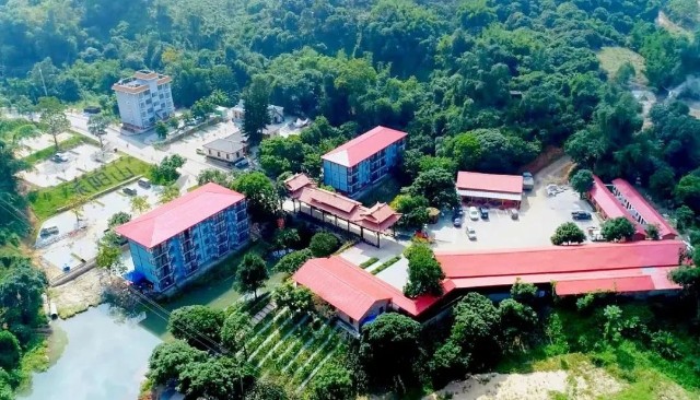 理事单位广西壮族自治区崇左市宁明县派阳山森林康养基地梦栖多彩森林