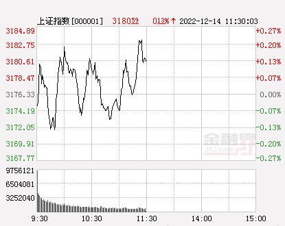 午评a股三大指数震荡涨跌不一半导体大消费等方向抢眼