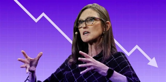 木头姐的创新投资理念被华尔街炮轰