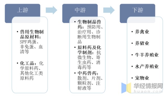 干货！一文看懂兽药及兽用化药行业发展现状：宠物动保蓝海扬帆起航_财富号_东方财富网