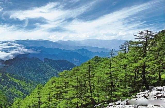 会员单位丨湖南天堂山国家森林公园水的源头林的海洋天然氧吧云的故乡