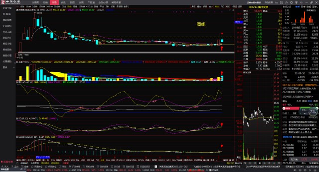 镇洋发展603213长短期均线粘合顺上看多跟踪