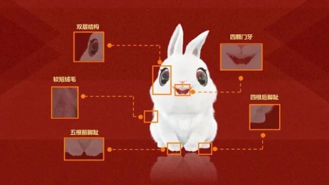 荐读兔圆圆可爱上线你知道世界上最早的兔子长啥样吗