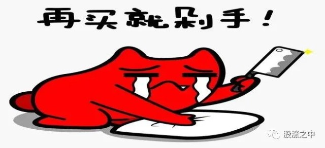 追涨被套，剁手！！！_财富号_东方财富网