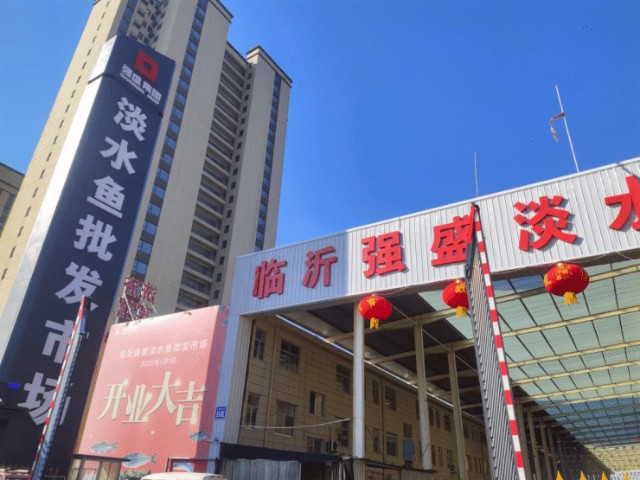 北海强盛集团(北海强盛集团董事长照片)