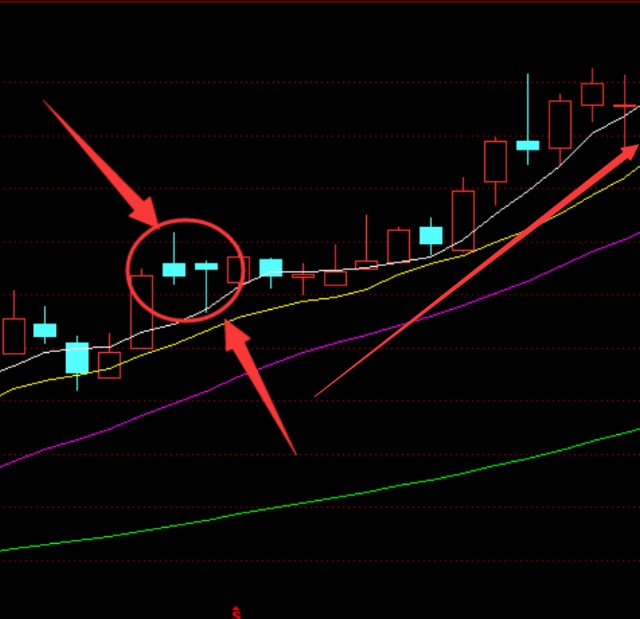 经典黑马形态揉搓线