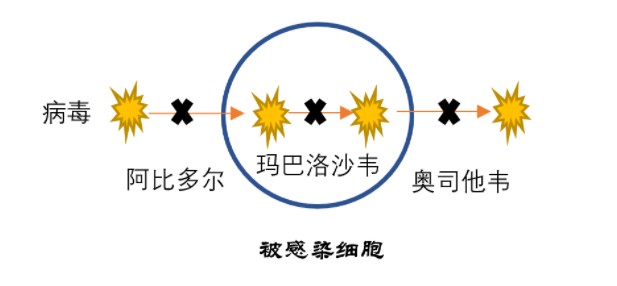 以奥司他韦胶囊的价钱_韦奥司他韦的作用_奥司他韦胶囊药说明书多少钱