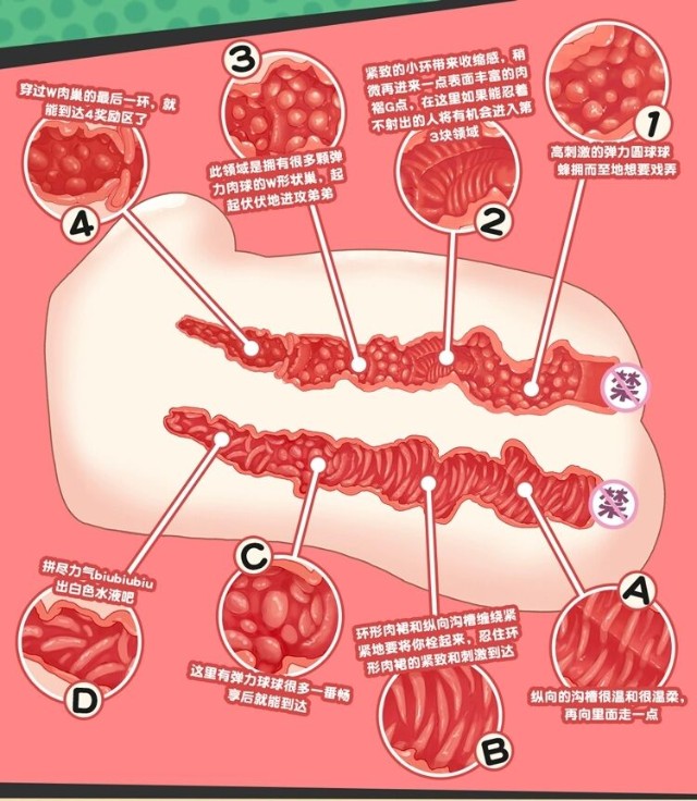 lovefactor元气精灵飞机杯比真人刺激测评