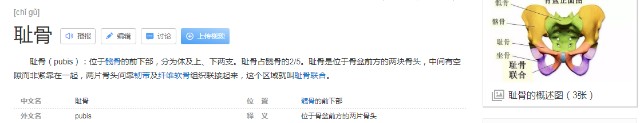 御姐有什么好？——GXP白丝壁女 宅基酱测评适合新手的飞机杯推荐插图2