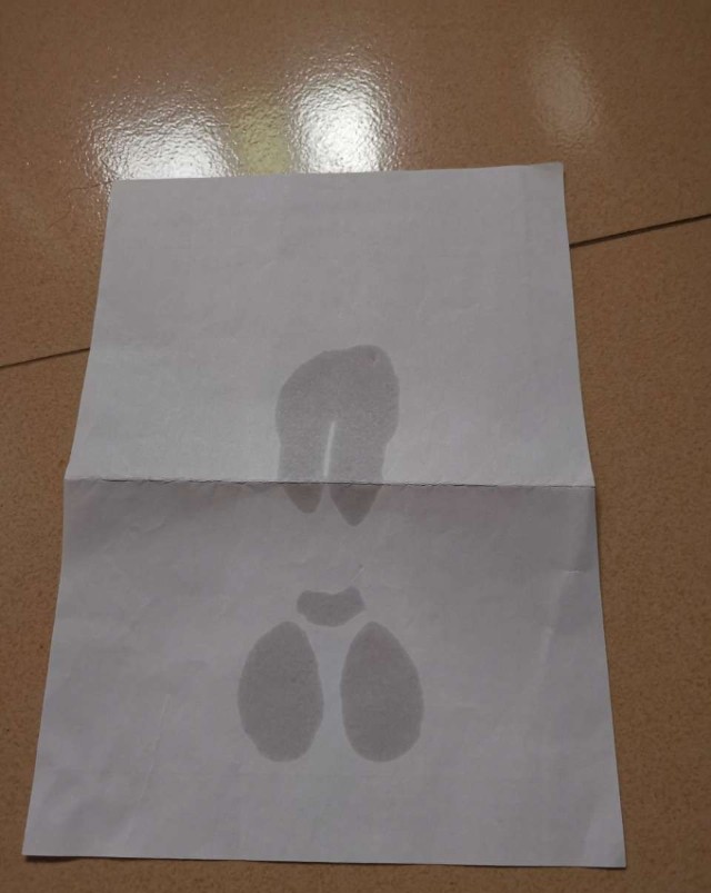 电动飞机杯多少钱宅基酱飞机杯评测:lovefactor御神子