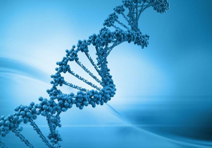 探寻生物科技发展的脉络——北京的创新之路
