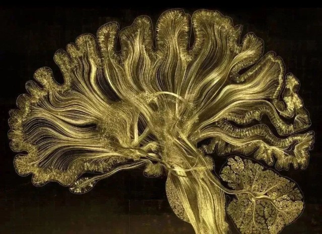 greg dunn& brain edwards反射微蚀技术"人类大脑中有860亿个神经元