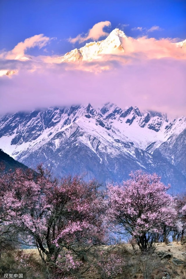 半壁雪山半川桃花