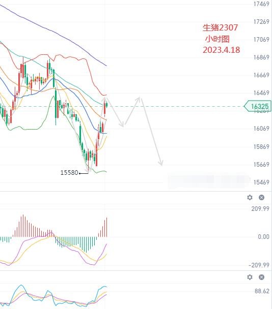 黄金因加息预期升温下跌 期货行情分析