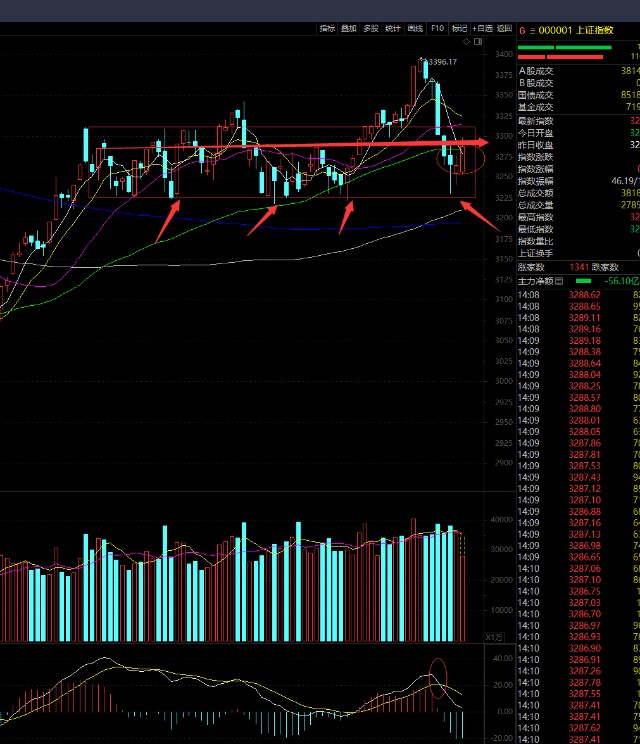 黑天鹅是哪个,什么意思,求解释_康平科技(300907)股吧_东方财富网股吧