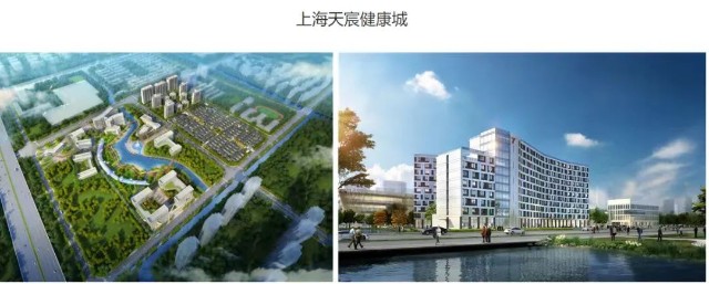 2021年天宸股份从绿地控股现金分红获取的收益达到6958.