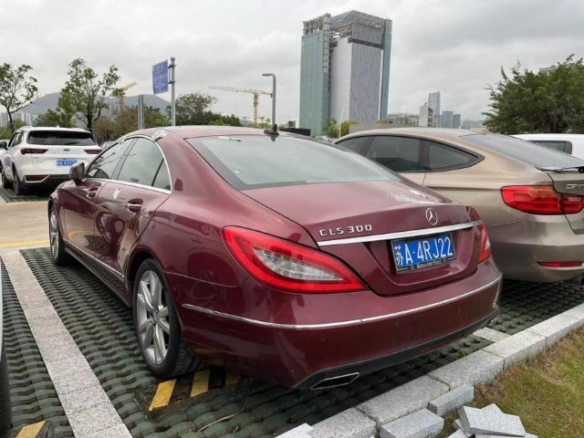 广东省深圳市一辆奔驰牌小型汽车将以16万起拍车牌为苏a4rj22