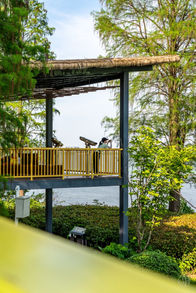 ip助力生态安全教育丨武汉华侨城生态湿地公园获评国家安全教育基地