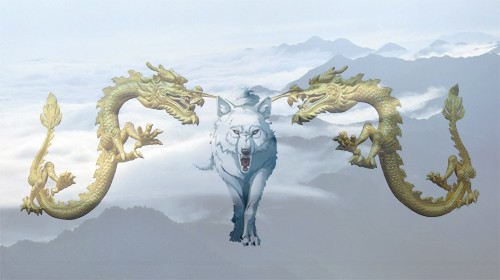 第338章御天双龙暗查国际孤狼