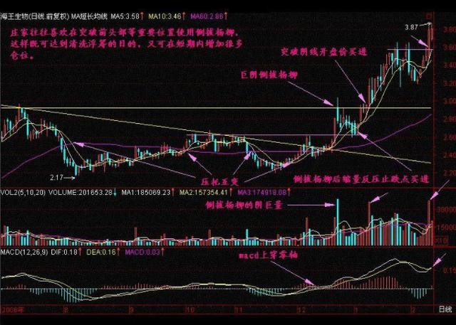 北大一女博士告诉你：中国股市背后的庄家是谁？讲的太精辟透彻了