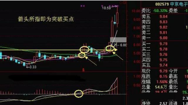 北大一女博士告诉你：中国股市背后的庄家是谁？讲的太精辟透彻了