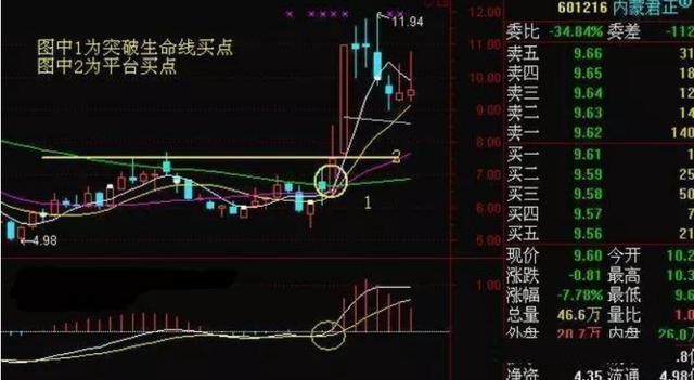 北大一女博士告诉你：中国股市背后的庄家是谁？讲的太精辟透彻了