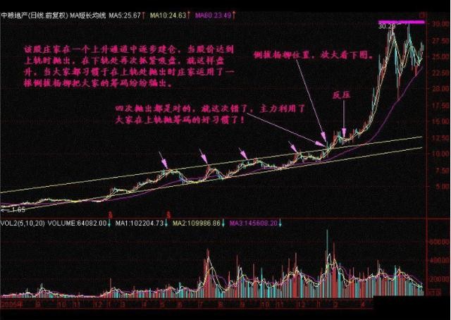 北大一女博士告诉你：中国股市背后的庄家是谁？讲的太精辟透彻了