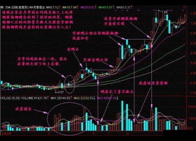 北大一女博士告诉你：中国股市背后的庄家是谁？讲的太精辟透彻了