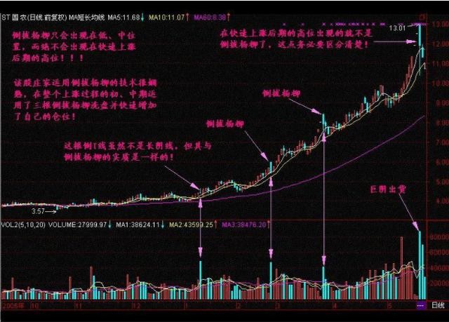 北大一女博士告诉你：中国股市背后的庄家是谁？讲的太精辟透彻了