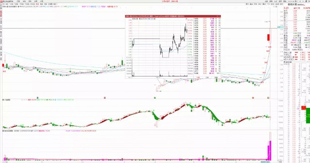 2020年德国第一季度g_德国第一长腿超模(3)