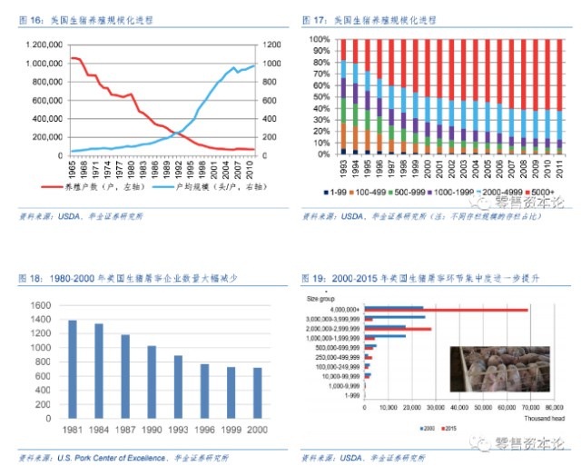 人均猪肉消费_猪肉一年消费图(2)