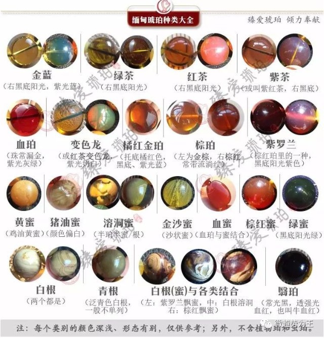 辨识缅甸琥珀品种最全面的图解精华帖
