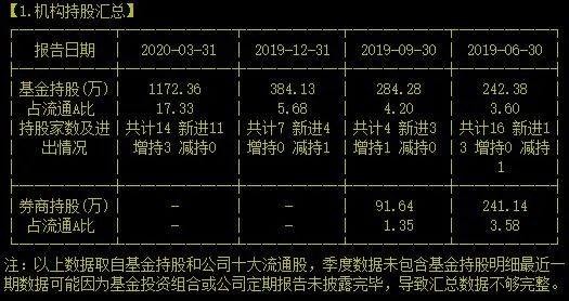 龙头报全年2020图片