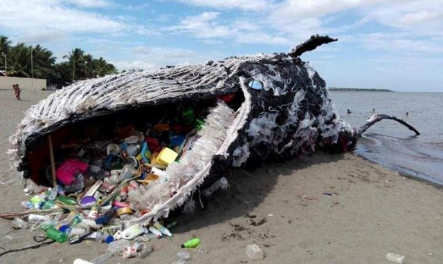 陈根 海洋污染不容小觑 塑料的伟大何去何从 财富号 东方财富网