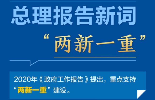 总理报告新词 两新一重 对投资主线有何影响 财富号 东方财富网