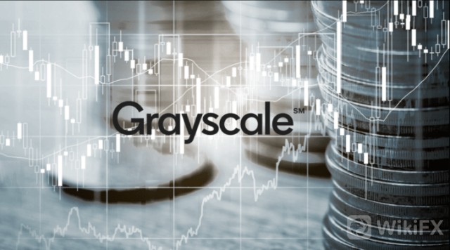 Greyscale 正以创纪录的速度购买比特币