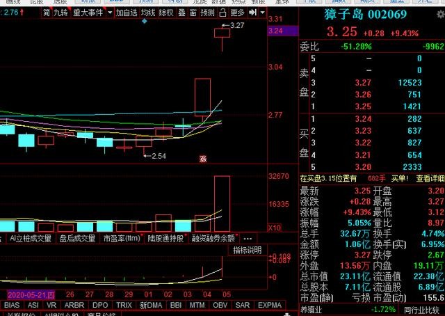 乡村振兴+电子商务，每股净资产：0.01元同比增长108.61%