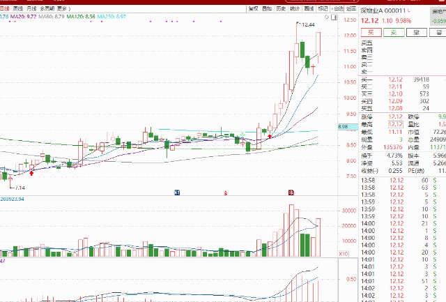 深物业老总_老总办公室图片(3)