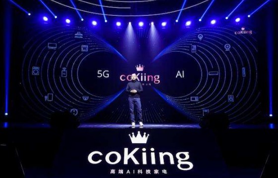 颠覆传统，十大品牌榜首：创新与传承的完美融合