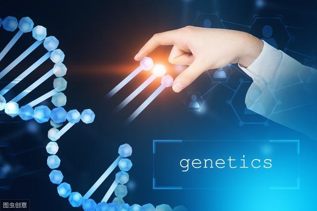 gdp通量_电通量试验仪器照片