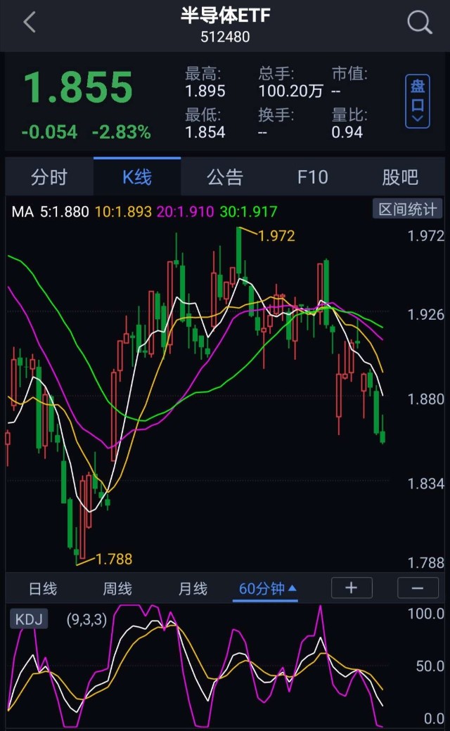 国联安中证全指半导体c(007301)昨天跌2.66%,后面跌再加.