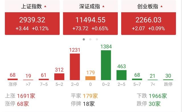 A股，暴风雨将至，鸟儿快归巢