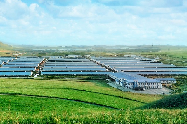 万头牧场标杆现代牧业上半年再预盈奶牛年化单产首度突破11吨