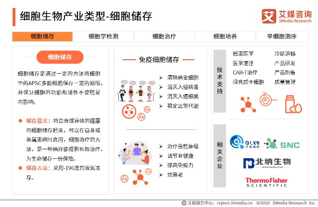 细胞生物产业主要类型剖析 细胞储存 细胞治疗等 财富号 东方财富网