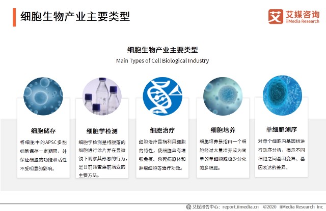 细胞生物产业主要类型剖析 细胞储存 细胞治疗等 财富号 东方财富网