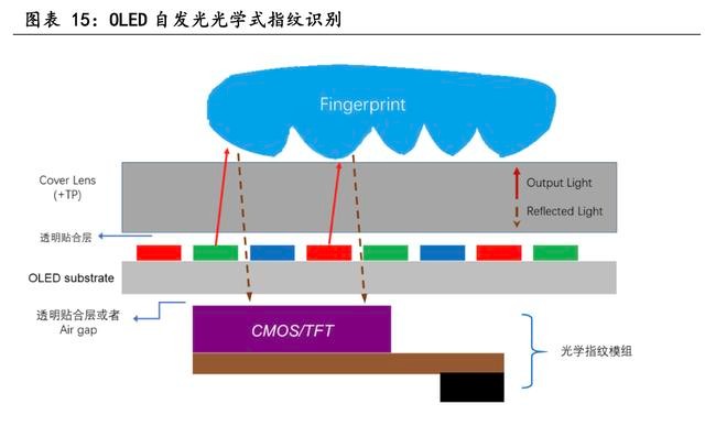 「行业深度」电子设备行业专题研究：生物识别技术发展前景广阔